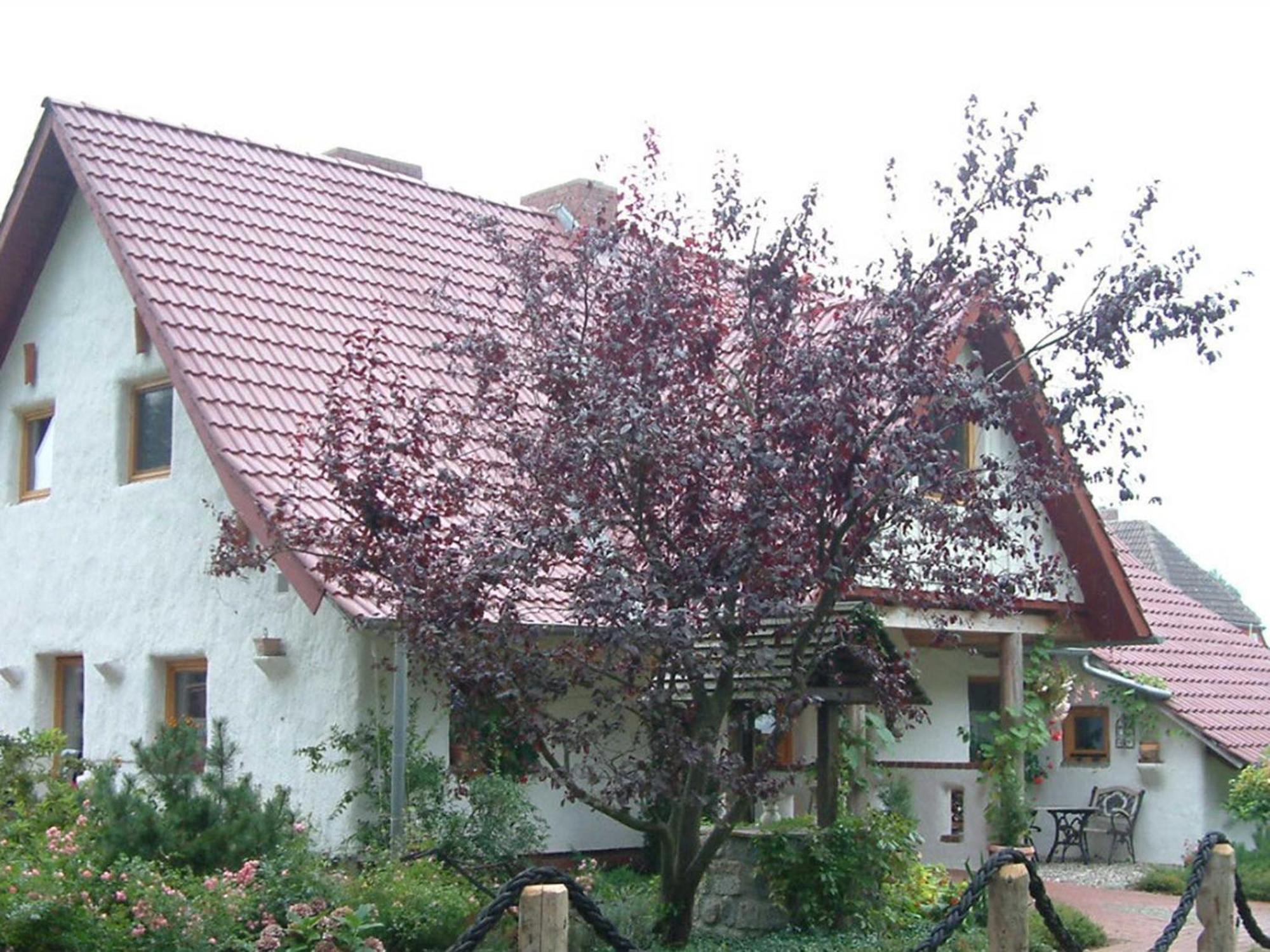 Appartamento Haus Jasmin Bodstedt Esterno foto